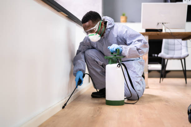 Emergency Pest Control Services in Mcconnellstown, PA